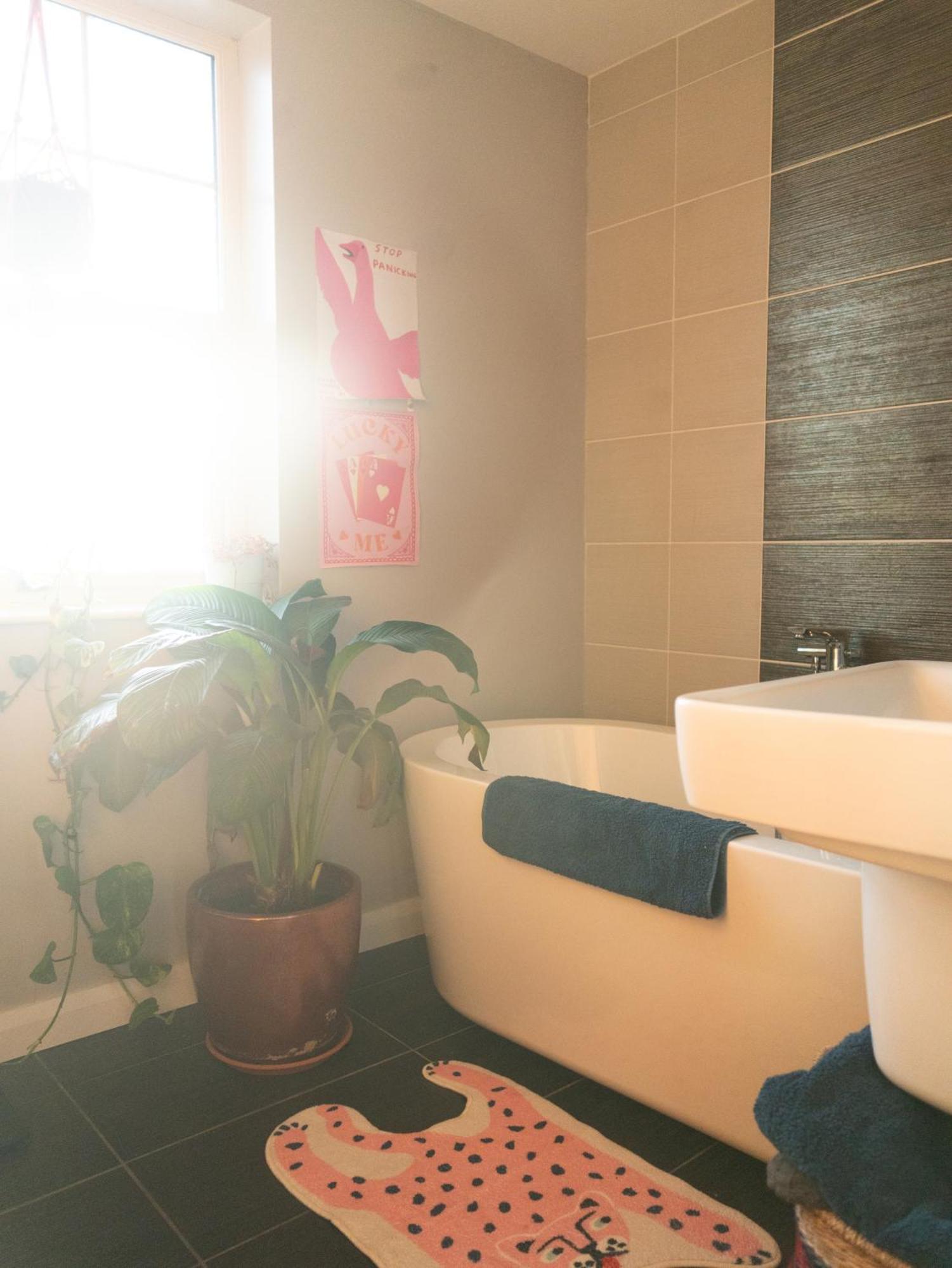 Luxury - - Dundonald Belfast